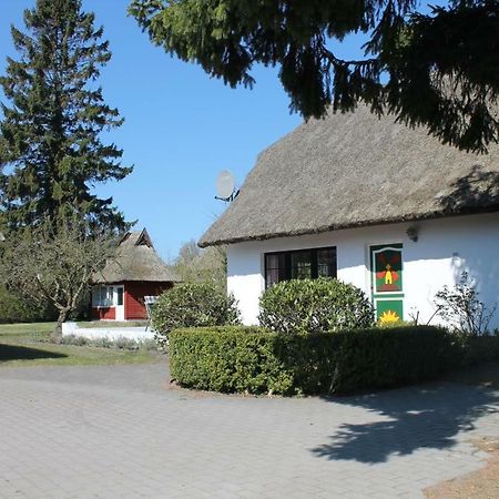 Willa Ferienhaus Ilva In Born Zewnętrze zdjęcie