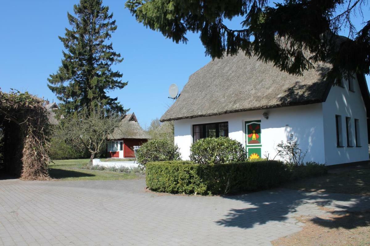 Willa Ferienhaus Ilva In Born Zewnętrze zdjęcie